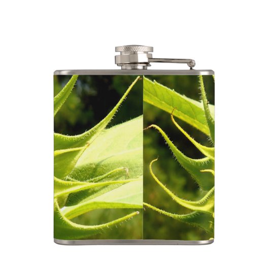 Sonnenblume Flachmann (Rückseite)