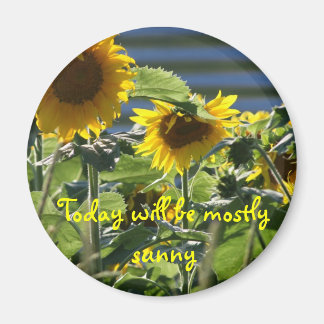 Sonnenblume Flair Magnet