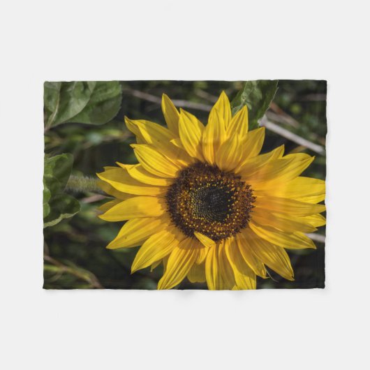 Sonnenblume-Fleece-Decke Fleecedecke (Vorderseite (Horizontal))