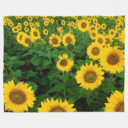 Sonnenblume-Fleece-Decke Fleecedecke (Vorderseite (Horizontal))