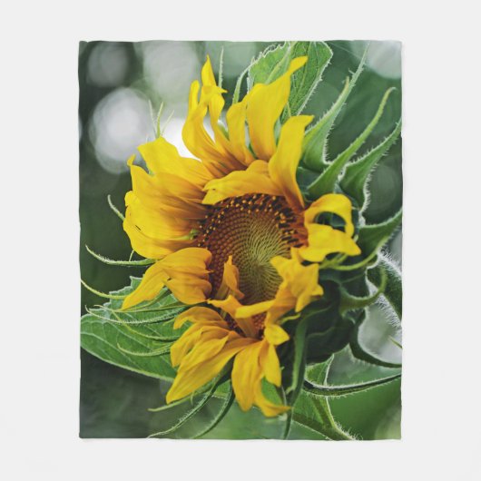 Sonnenblume Fleecedecke (Vorderseite)