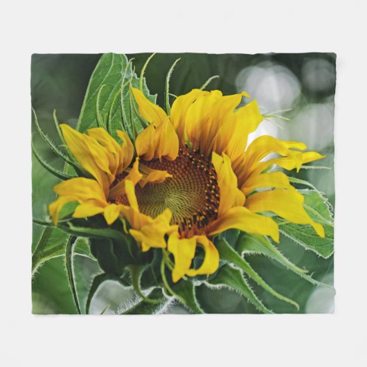 Sonnenblume Fleecedecke (Vorderseite (Horizontal))