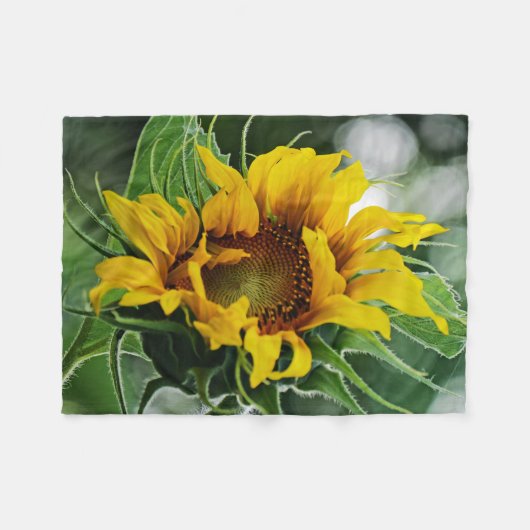 Sonnenblume Fleecedecke (Vorderseite (Horizontal))