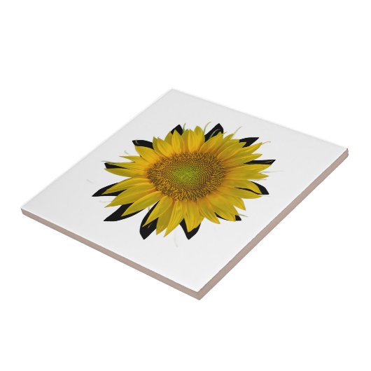 Sonnenblume Fliese (Seite)