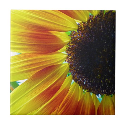 Sonnenblume Fliese (Vorderseite)