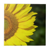 Sonnenblume Fliese (Vorderseite)