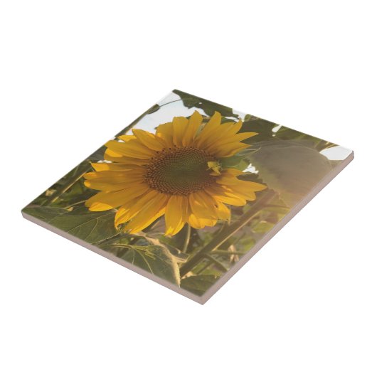 Sonnenblume Fliese (Seite)