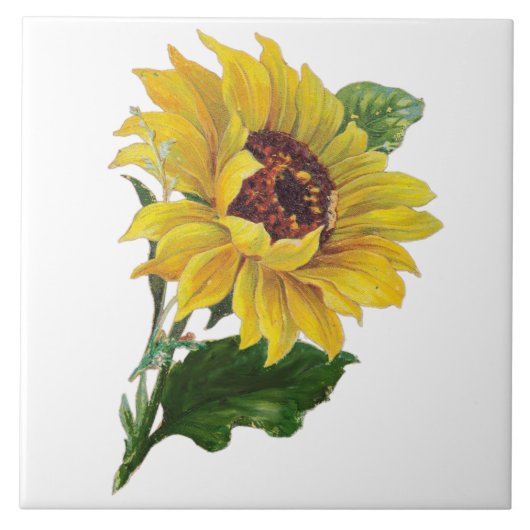 Sonnenblume Fliese (Vorderseite)