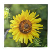 Sonnenblume Fliese (Vorderseite)