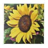 Sonnenblume fliese (Vorderseite)