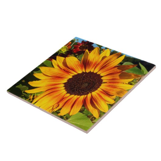 Sonnenblume Fliese (Seite)