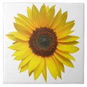 Sonnenblume-Fliese Fliese (Vorderseite)
