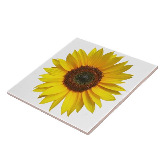 Sonnenblume-Fliese Fliese (Seite)