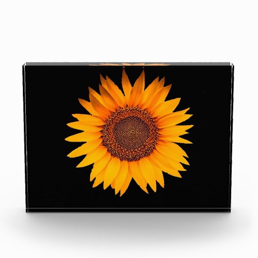 Sonnenblume Fotoblock (Vorderseite)