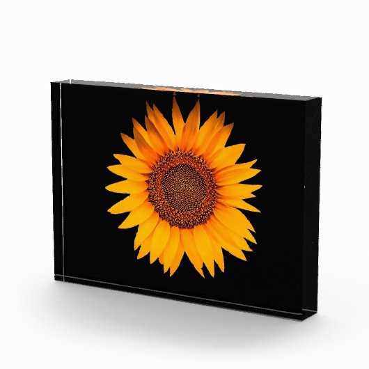 Sonnenblume Fotoblock (Rechts)