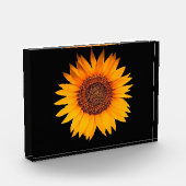 Sonnenblume Fotoblock (Links)