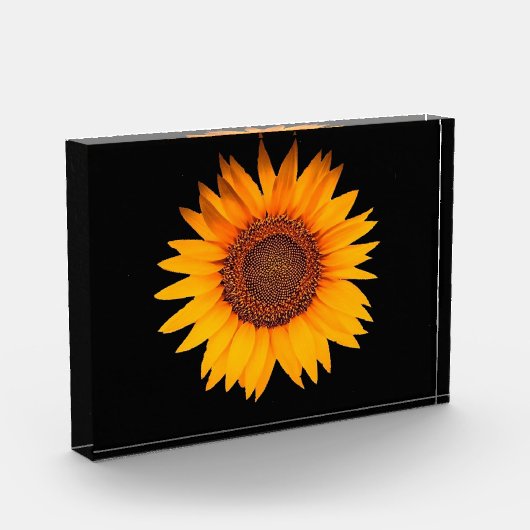 Sonnenblume Fotoblock (Links)