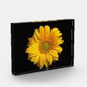 Sonnenblume Fotoblock (Links)