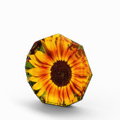 Sonnenblume Fotoblock (Rechts)