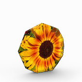 Sonnenblume Fotoblock (Links)