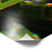 Sonnenblume Fotodruck (Ecke)