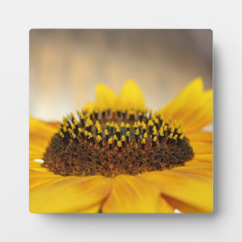 Sonnenblume Fotoplatte