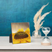 Sonnenblume Fotoplatte (InSitu)