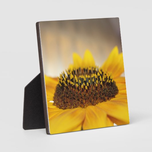 Sonnenblume Fotoplatte (Vorderseite)