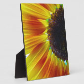 Sonnenblume Fotoplatte (Seite)