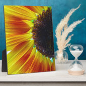 Sonnenblume Fotoplatte (Seite)