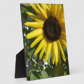 Sonnenblume Fotoplatte (Seite)