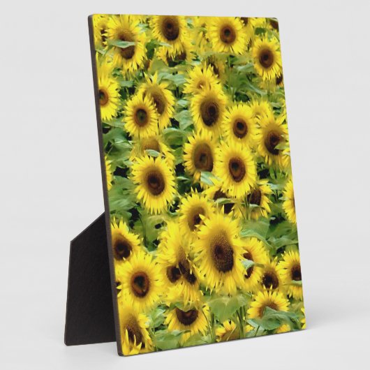 Sonnenblume Fotoplatte (Seite)