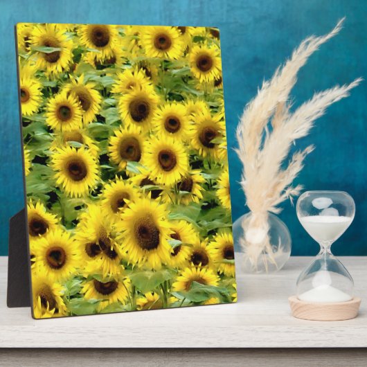 Sonnenblume Fotoplatte (Seite)