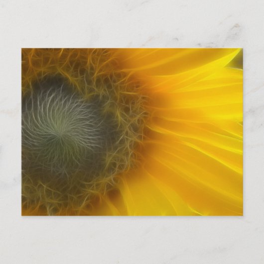 Sonnenblume Fraktal Postkarte (Vorderseite)