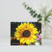 Sonnenblume & Freunde Bouquet - Postkarte (Stehend Vorderseite)