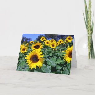 Sonnenblume für Mama Karte