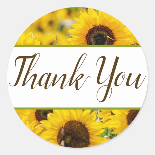 Sonnenblume Gefälligkeitskleber Runder Aufkleber (Vorderseite)