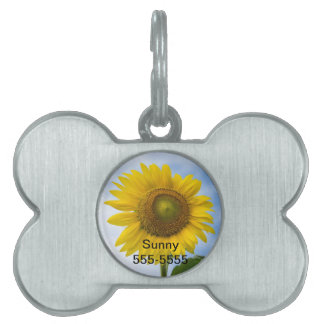 Sonnenblume gegen blauen Himmel Tiermarke