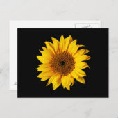 Sonnenblume Gelb auf Schwarz - Maßgeschneiderte So Postkarte (Vorne/Hinten)