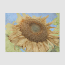Sonnenblume Gelb Boho Rustikal Land Flora