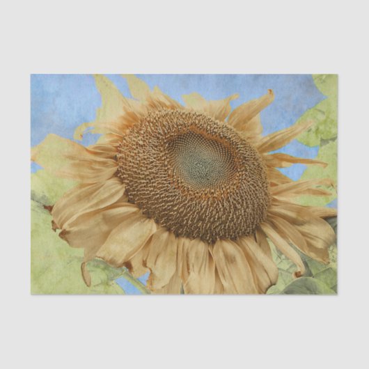 Sonnenblume Gelb Boho Rustikal Land Flora Seidenpapier (Vorderseite)