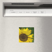 Sonnenblume Gelbe Blume Blüte Magnet (In Situ (Geschirrspüler))
