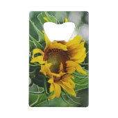 Sonnenblume Geldkarten Flaschenöffner (Rückseite)