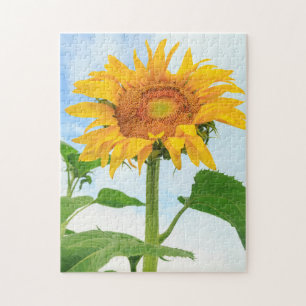 Sonnenblume, Gemeinschaftsgarten, Moses Lake, WA,  Puzzle