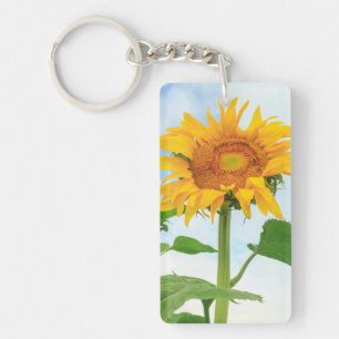Sonnenblume, Gemeinschaftsgarten, Moses Lake, WA, Schlüsselanhänger