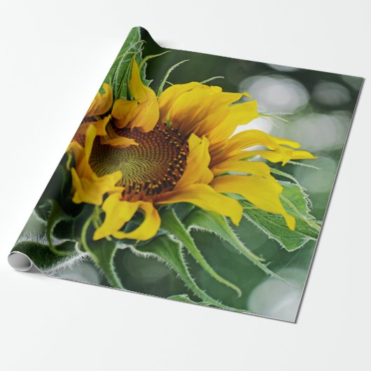 Sonnenblume Geschenkpapier (Ungerollt)