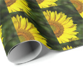 Sonnenblume Geschenkpapier (Rolleneckpunkt)