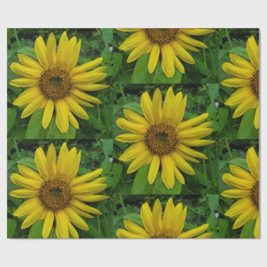 Sonnenblume Geschenkpapier (Flach)