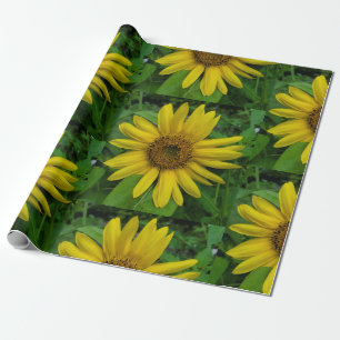 Sonnenblume Geschenkpapier