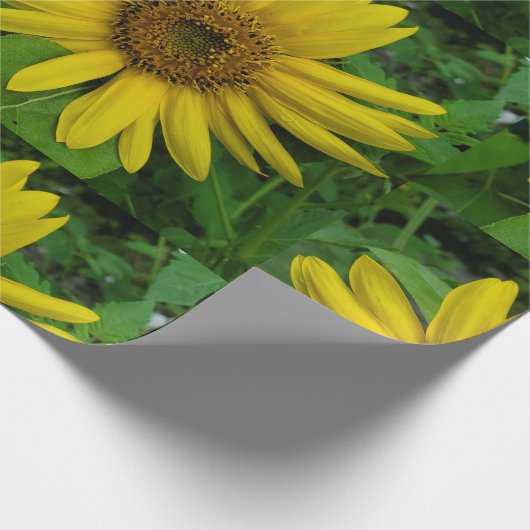 Sonnenblume Geschenkpapier (Ecke)